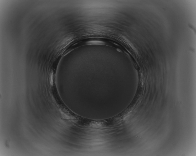 X0000095540076200712141534