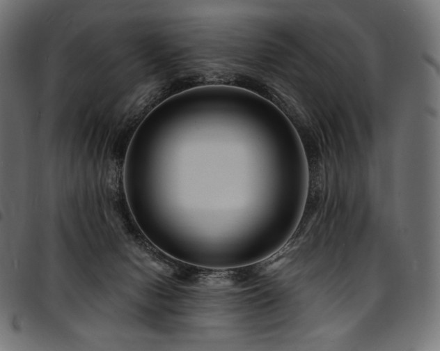 X0000095540078200712141534