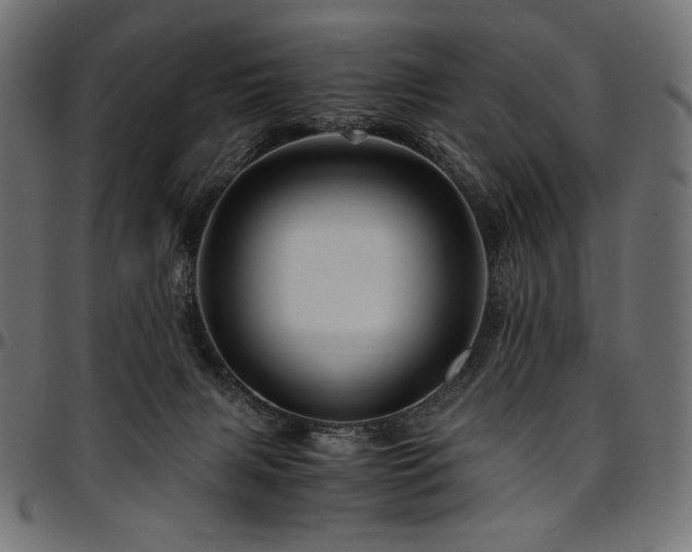 X0000095540079200712141534