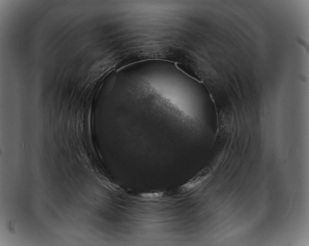 X0000095540080200712141534