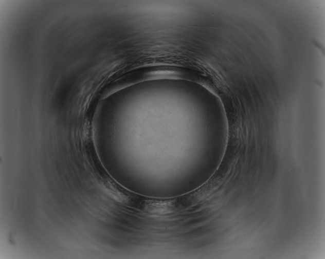 X0000095540081200712141534