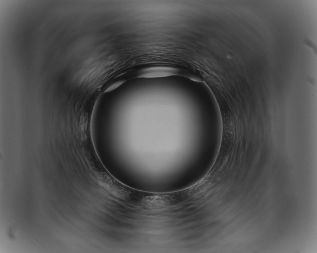 X0000095540082200712141534