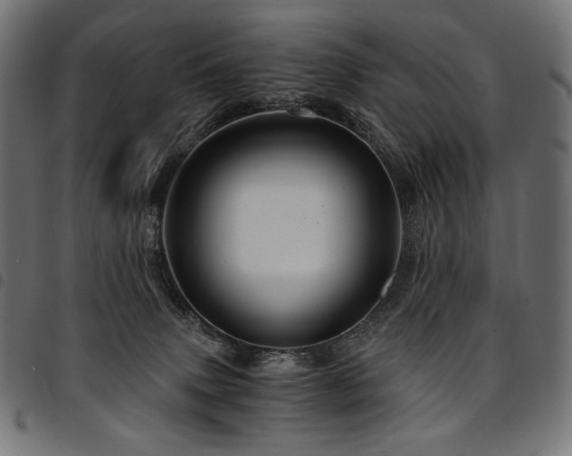 X0000095540083200712141534