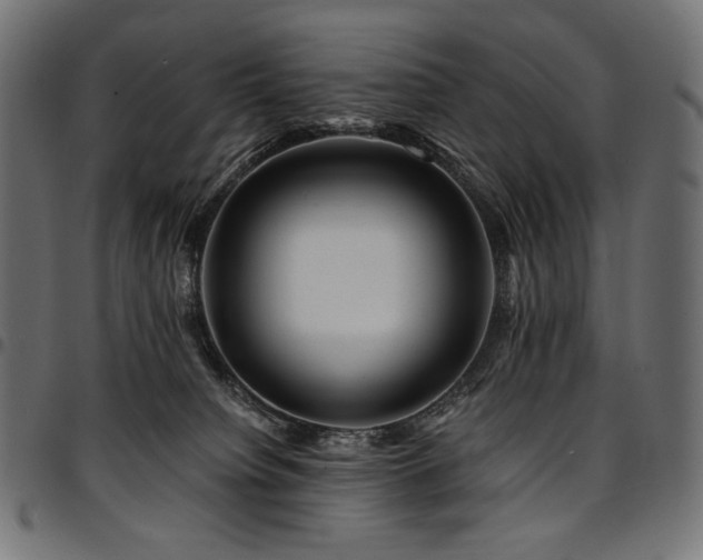 X0000095540084200712141534