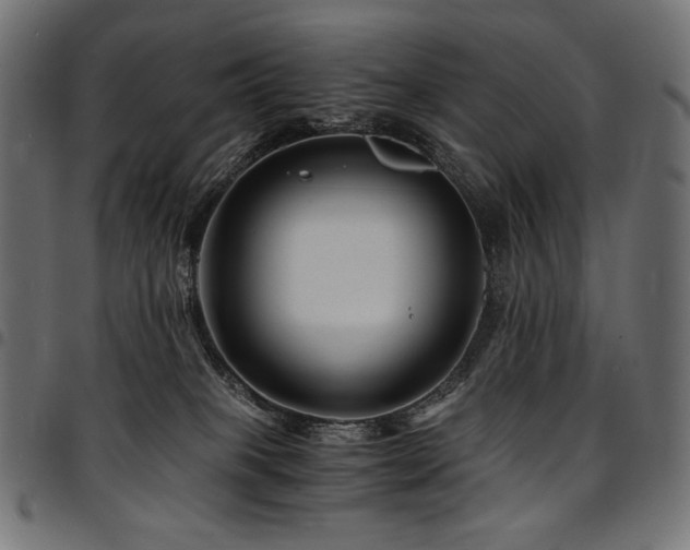 X0000095540085200712141534