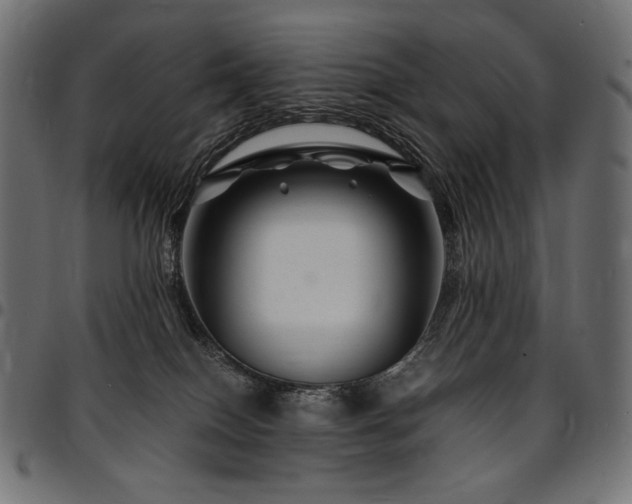 X0000095540086200712141534