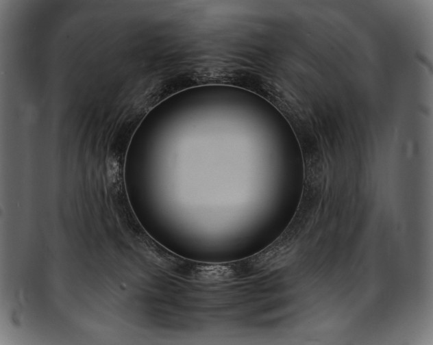 X0000095540087200712141534