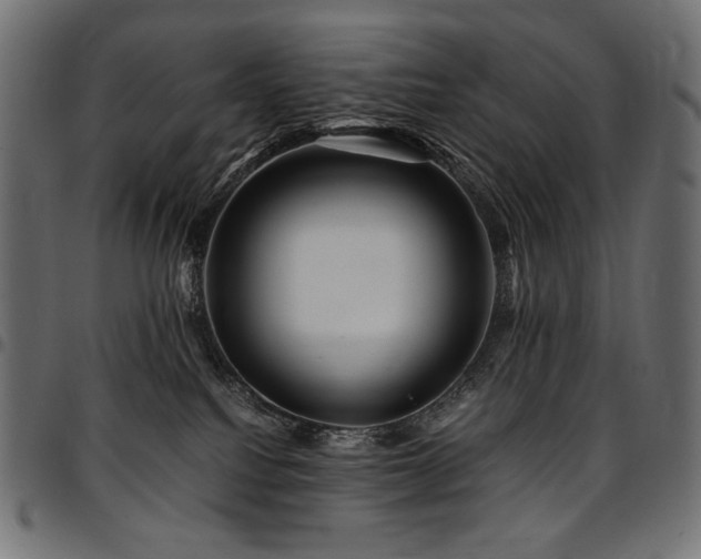 X0000095540088200712141534