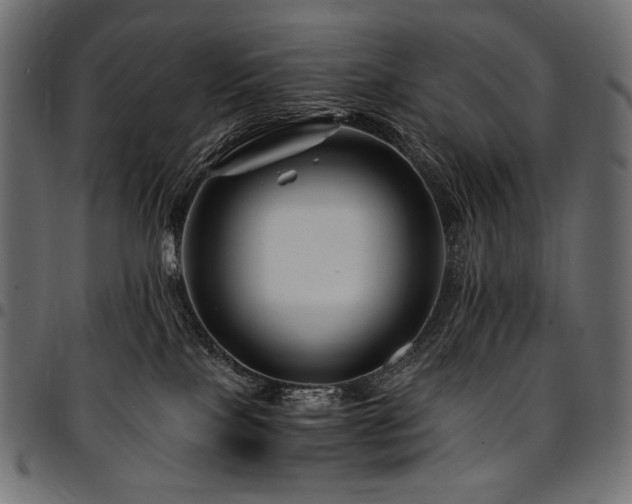 X0000095540089200712141534