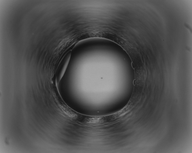 X0000095540090200712141534