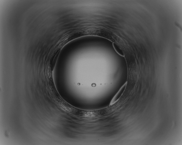 X0000095540091200712141534