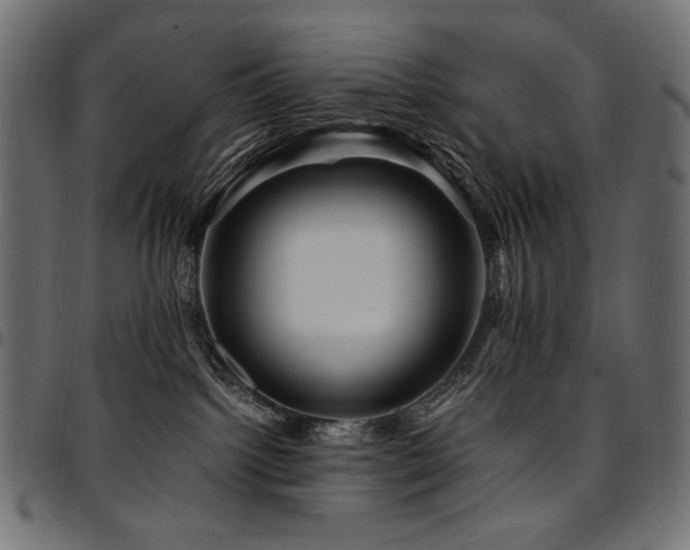 X0000095540092200712141534