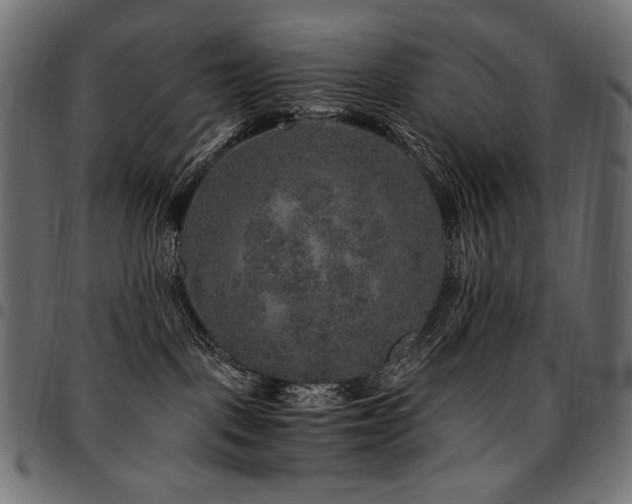 X0000095540093200712141534