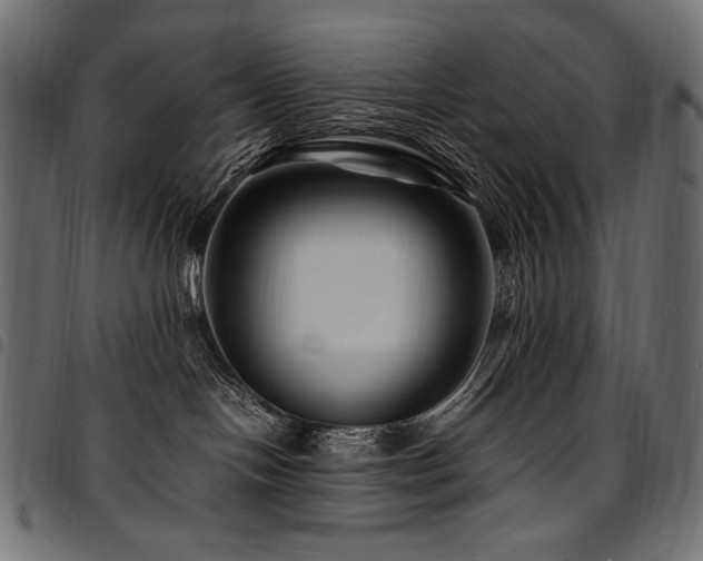 X0000095540094200712141534