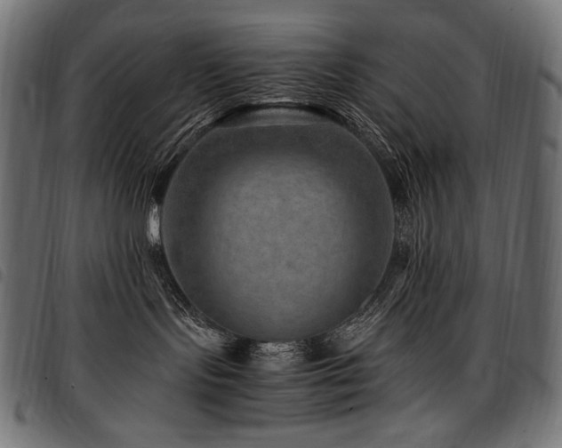 X0000095540095200712141534