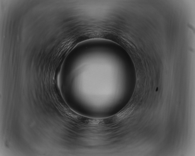 X0000095540096200712141534