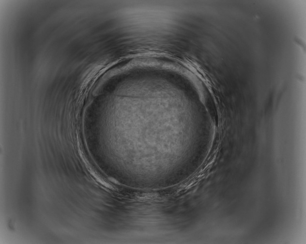 X0000095540097200712141533