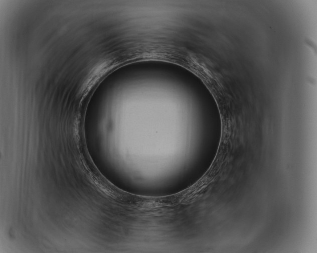 X0000095540098200712141533