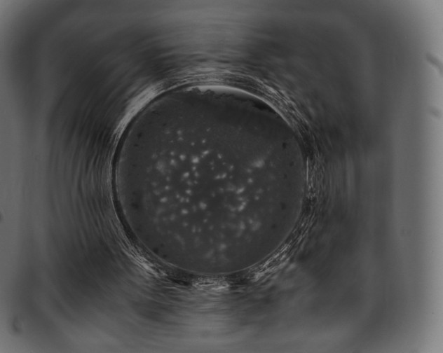 X0000095540099200712141533