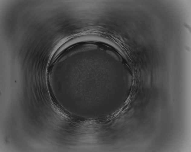 X0000095540100200712141533