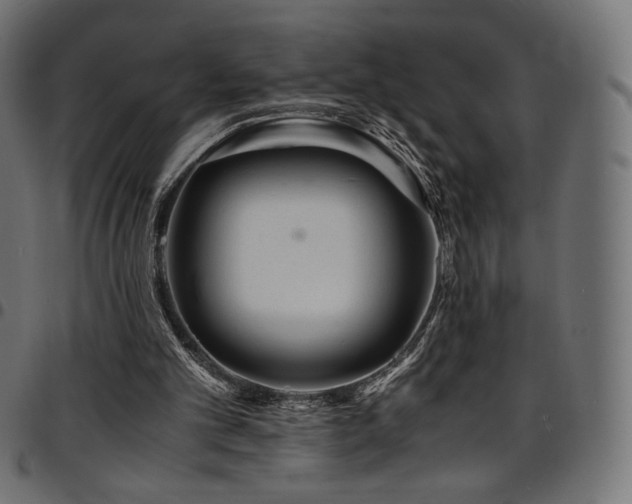 X0000095540101200712141533