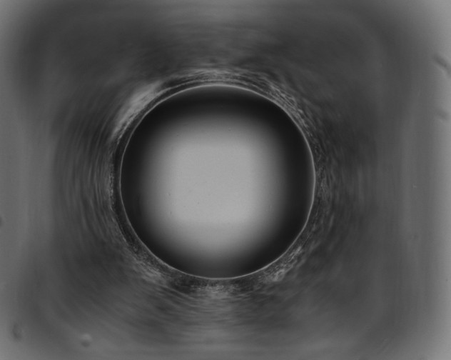 X0000095540103200712141533