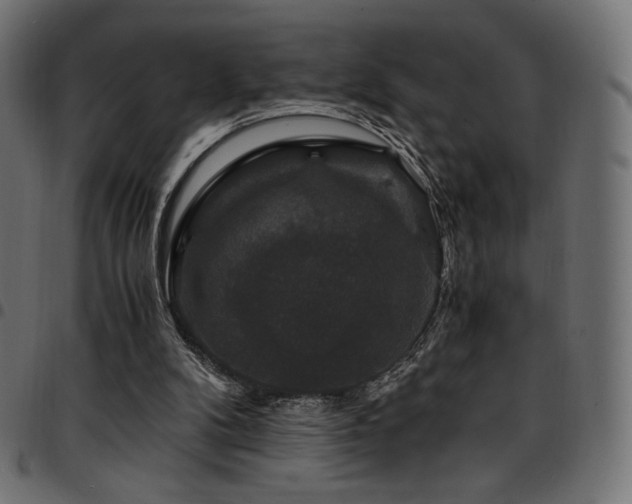 X0000095540104200712141533