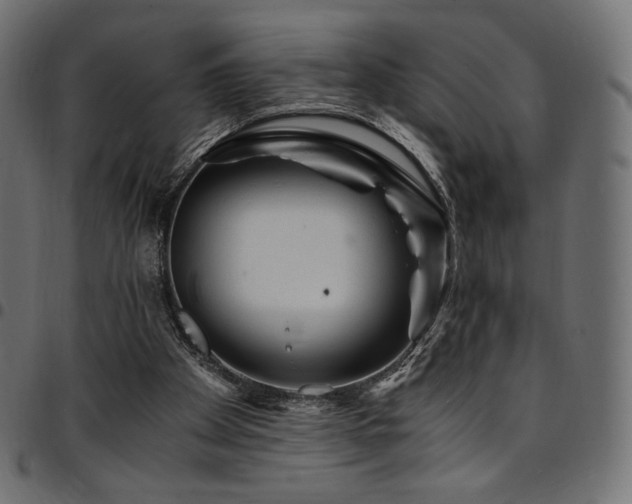 X0000095540105200712141533