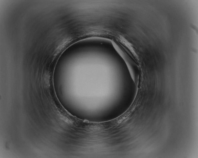 X0000095540106200712141533