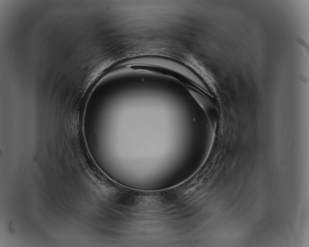 X0000095540107200712141533