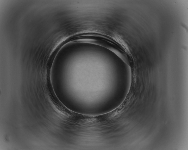 X0000095540108200712141533