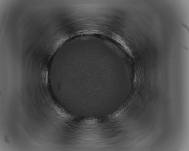 X0000095540110200712141533