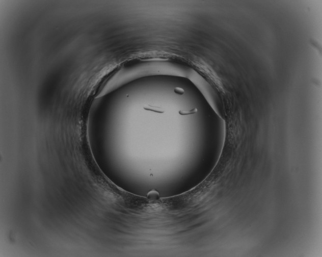 X0000095540111200712141533