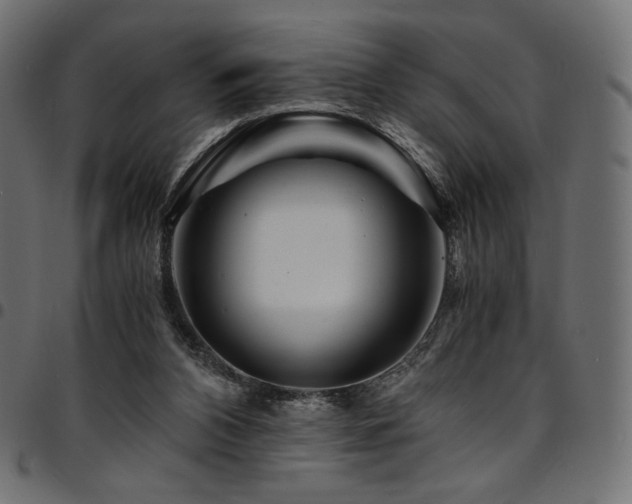 X0000095540112200712141533