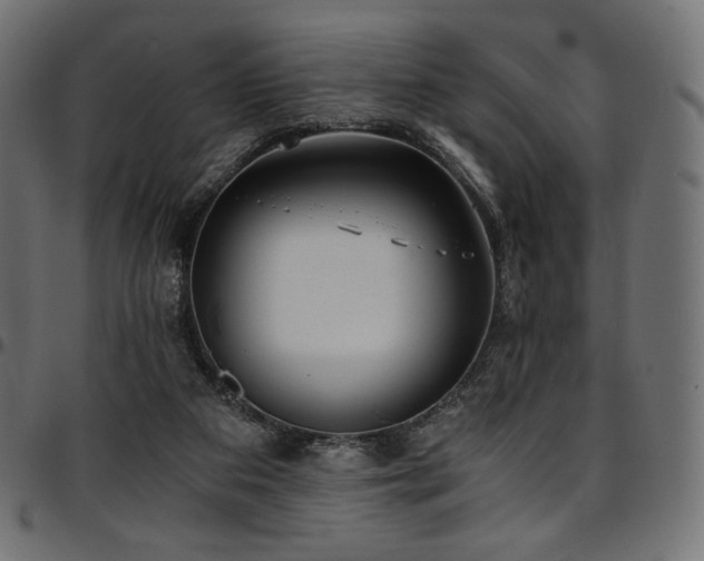 X0000095540113200712141533