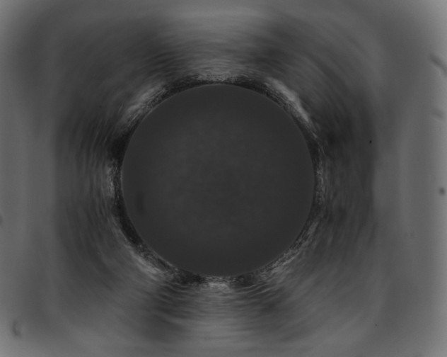 X0000095540114200712141533