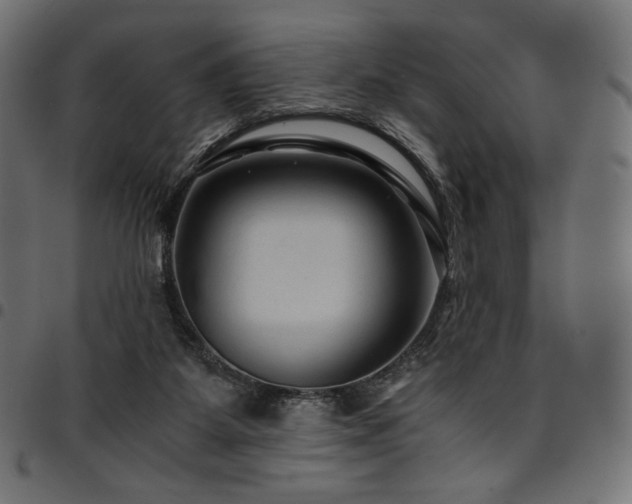 X0000095540115200712141533