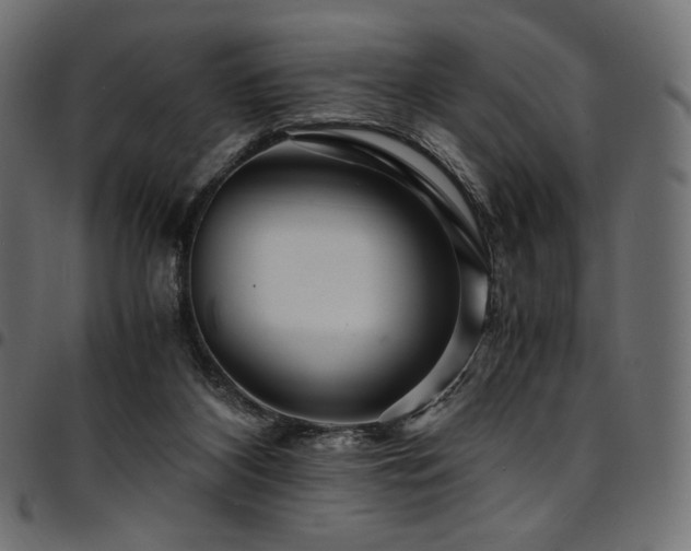 X0000095540116200712141533