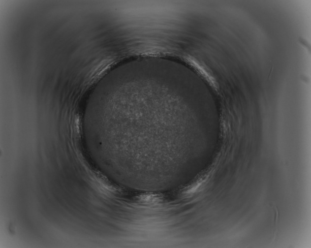 X0000095540117200712141533