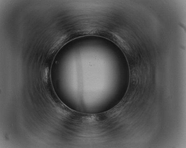 X0000095540118200712141533