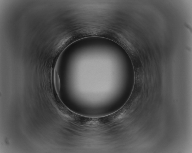 X0000095540119200712141533