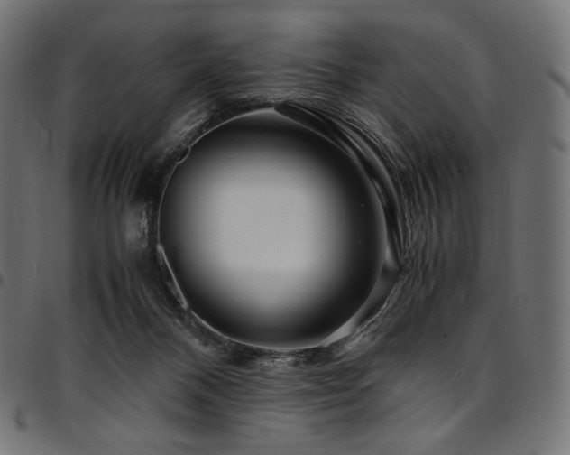 X0000095540120200712141533