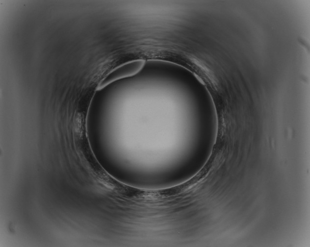 X0000095540121200712141533