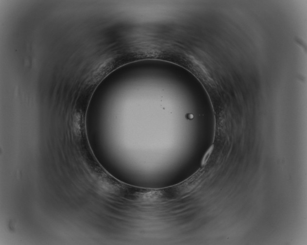 X0000095540122200712141533