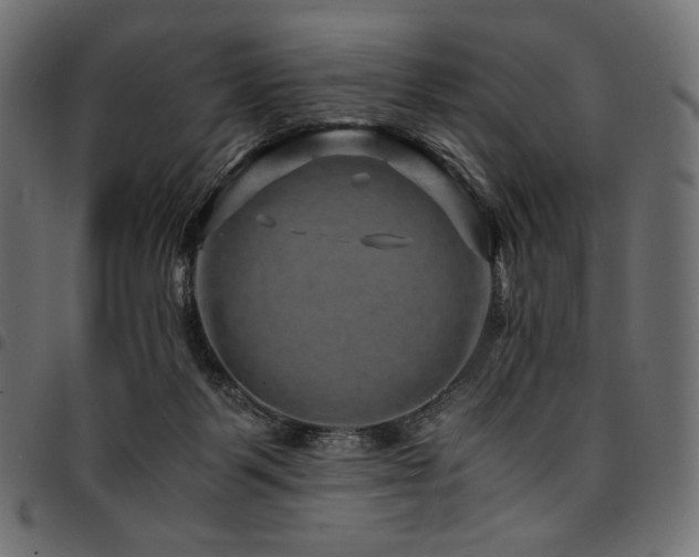 X0000095540123200712141533