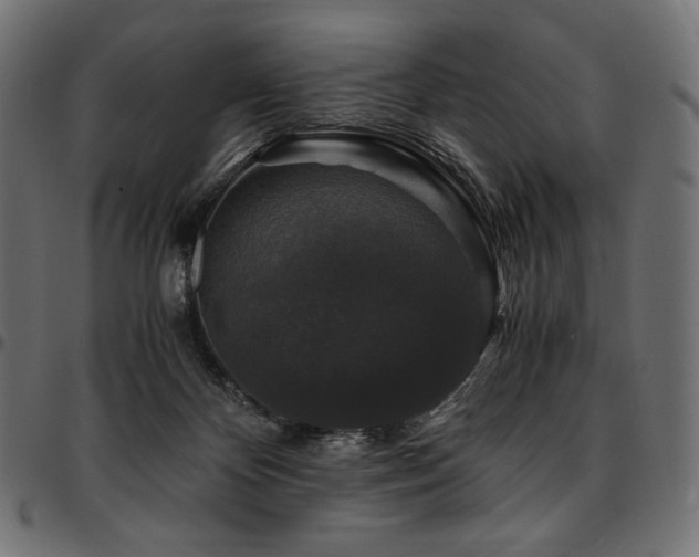 X0000095540124200712141533