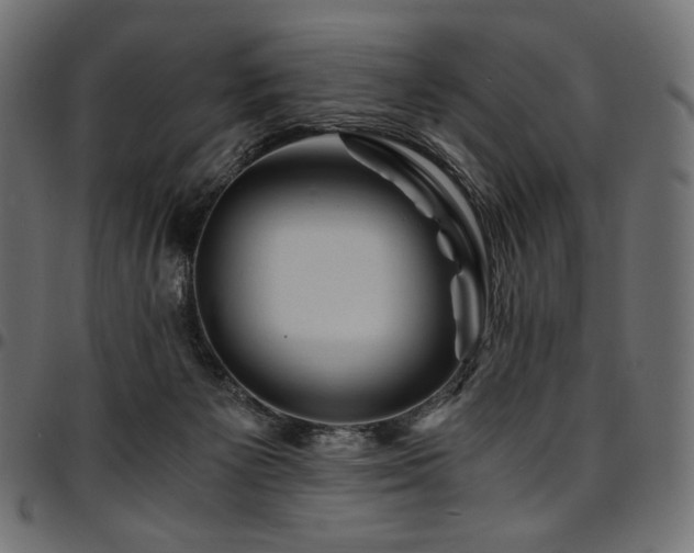 X0000095540125200712141533