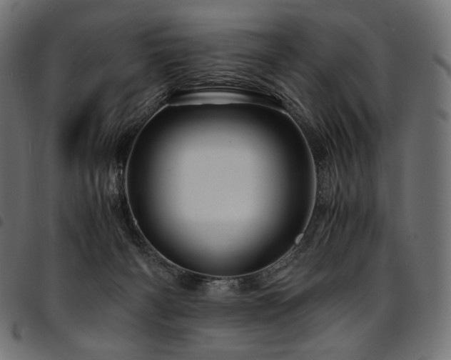 X0000095540126200712141533