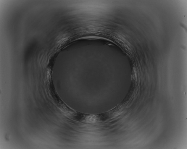 X0000095540127200712141533