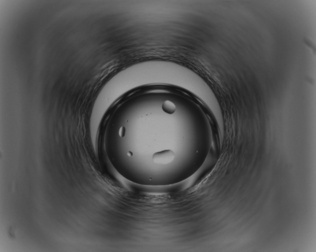 X0000095540128200712141533